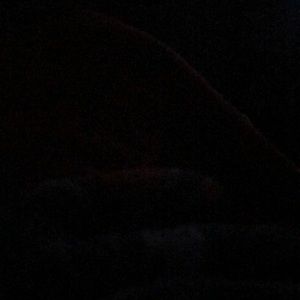 Meet your Posher, Robbie